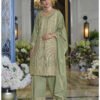 Pakistani Style Chinon Based Long Straight Suit For Women Festival Wear Pista Green