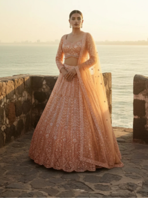 Amber Zari Glow Hand-Embroidered Lehenga Set