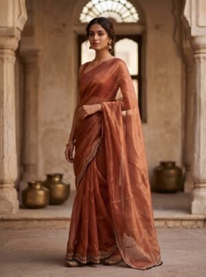 Copper Rust Metallic Border Saree