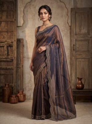 Deep Bronze Metallic Border Saree